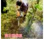 手提式苗木断根机 带土起苗机 带土球挖树机