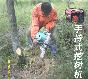 綯 ľϸȫЧ 