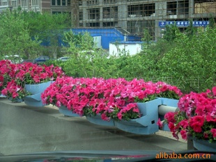 高架桥花盆花箱