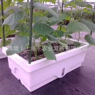 种植箱、种菜箱、花箱、生态种植箱、阳台菜箱