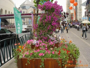 防腐木花箱FC-0822 订做防腐木塑木花箱 道路花箱
