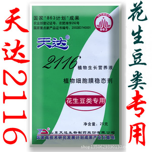 2116 ר ЧҶ  ֲӪҺ 25g