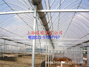 Ҵ GLP-62229 ĴҴ