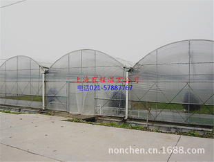 GLP-6229 Ҵ Ҵά