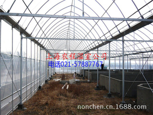 Ҵ GLP-62224 Ҵ