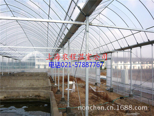  GLP-62279 Ҵ  