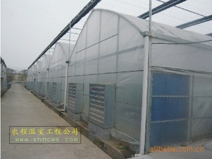 豸 13816407723