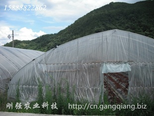 ̨񻷵ֹҲݮ GP825