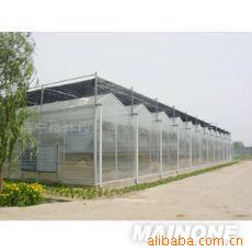 苗圃温室大棚、苗圃单栋温室、连栋温室大棚