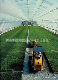 Ҵ﹤ 豸 ֳ豸 豸 ţ豸 豸