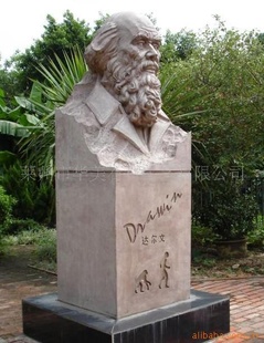 ܡʯ
