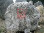泰山石1报价/广东泰山石1报价