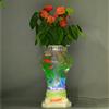 无土栽培花卉,玻璃花瓶,电子增氧花瓶,珍雅轩水培花卉花瓶
