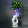 电子花瓶 增氧灯光花瓶 水培花卉花瓶 无土栽培发财树,珍雅轩