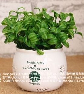 ZAKKA´ɸմɻ 辰С 3752ZGR