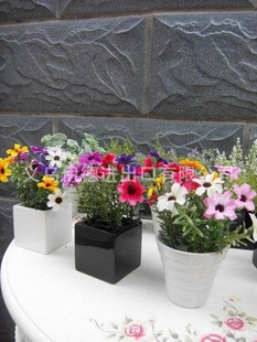 热销 优质出口陶瓷花瓶 2236 黑白方形陶瓷花瓶 花盆 花器