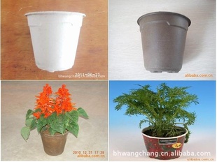 纸花盆(厂家直销) Paper flower pot(Manufacturer)