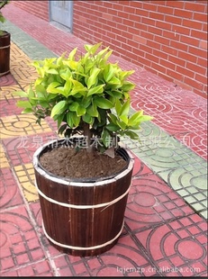 厂家批发木制品,花盆,花桶,碳化桶