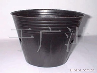 花盆
