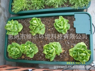 【本店热销】花盆批发 种花花盆 种植盆 恭迎新老客户