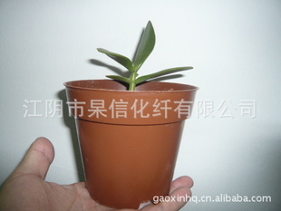 生物降解育苗盆,营养钵,聚乳酸环保花盆,PLA花盆,花盆批发