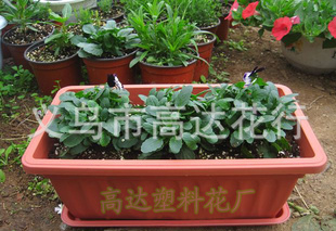 塑料花盆 塑料栅栏 田园种菜 开心阳台 特价塑料长形盆