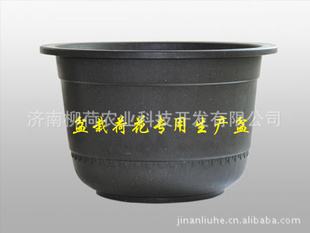 盆栽荷花 盆栽水生植物专用生产用盆 型号:LH-002 花盆