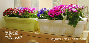 阳台种菜盆 果蔬盆 种植盆 长方形花盆 *热中9001