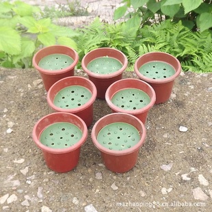 低价多用塑料花盆 13厘米花盆带盖075095