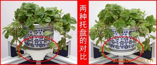 批发新奇实用的园艺类产品 公司职员隔断现代花盆