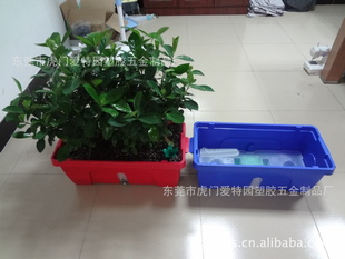 种植系统、绿色世界、自养式“懒汉”花盆