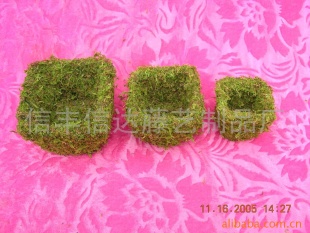 材料原产地优惠青苔方形花盆、苔藓花盆