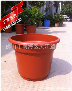 厂家直销 灵江牌PP塑料花盆 AB反边圆盆