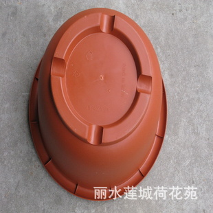 超大型 荷花 睡莲 专用无孔花盆,加厚,出口品质