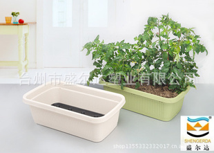 阳台家庭种菜盆 塑料花盆批发 CP系列