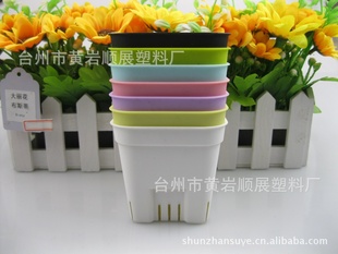 顺展塑业 厂家直销新款塑料彩色花盆 小方盆 透气盆8075 *产品