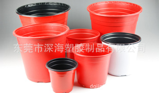 园艺环保迷你小花盆 塑料迷你花盆 桌面式塑料花盆