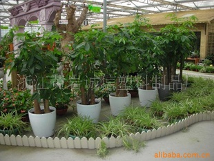 年宵花 花盆批发 高档花盆 自动蓄水花盆