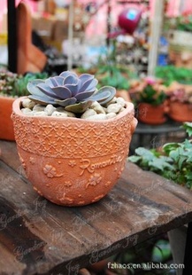 FZ出品 红陶花盆 多肉花盆 环保低碳
