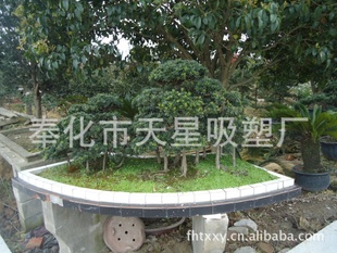 花盆 育苗盘 种植盆生产厂家