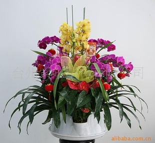 年宵花盆/立体花盆【热卖产品 厂家直销】