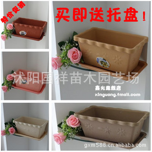 塑料树脂长方形花盆菜盆 种植蔷薇花苗 玫瑰苗 藤本月季等花