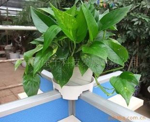批发可变宽度花盆托、多摆植物、更安全、透气