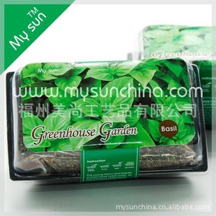 大量育苗袋 营养钵*营养袋*营养杯*塑料*替代花盆*育苗盆*