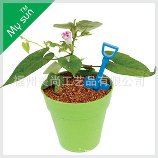 可降解环保花盆,小型盆栽,迷你花卉,小型花盆,摆设品