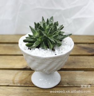 մɻ  ԰ջ 㻨 zakka P30