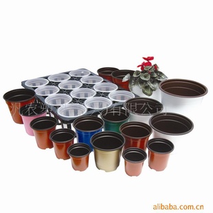 双色花盆(质优价廉)草花,红掌,凤梨可用,PP材料