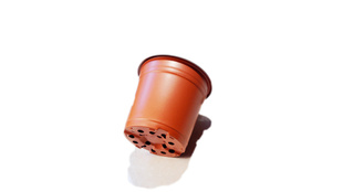红掌,一品红专用160mm双色花盆