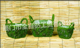 时尚家居摆饰木质花盆工艺品 环保型麻丝花盆 青苔草花盆10B1303