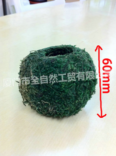 新款热销创意摆饰田园风格青苔花盆批发 12A440
